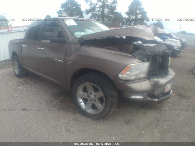 DODGE RAM 1500 2010 1d7rb1ct8as246433