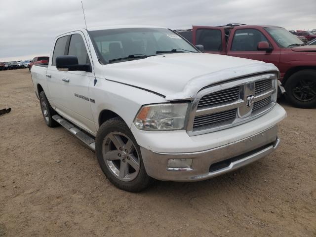 DODGE RAM 1500 2011 1d7rb1ct8bs596694