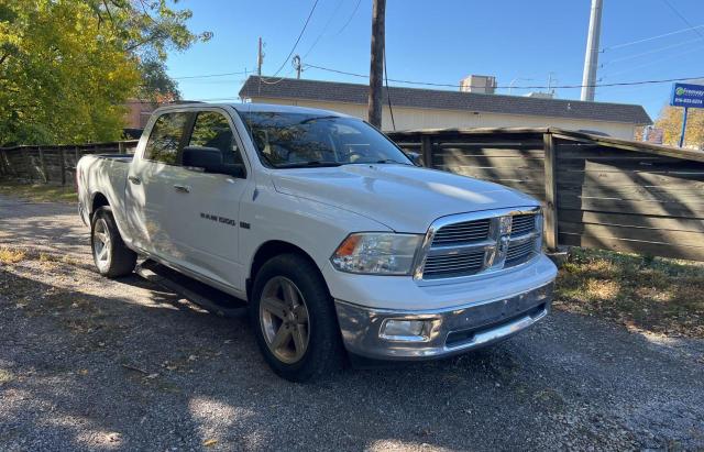 DODGE RAM 1500 2011 1d7rb1ct8bs611727