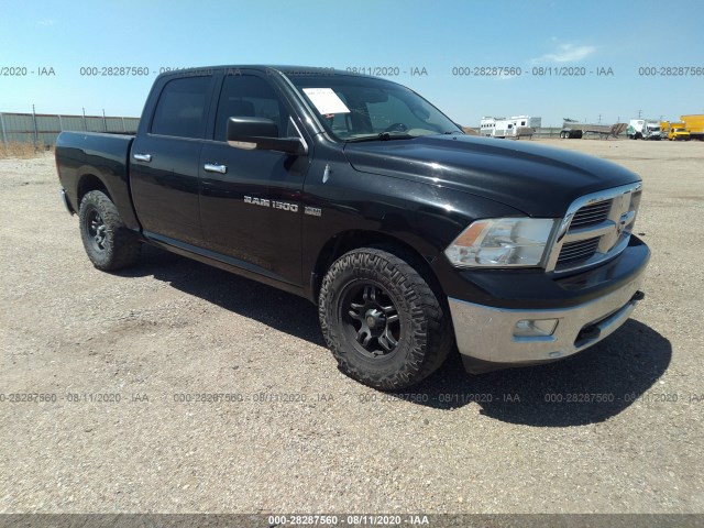 RAM 1500 2011 1d7rb1ct8bs628561