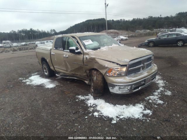 RAM 1500 2011 1d7rb1ct8bs688873