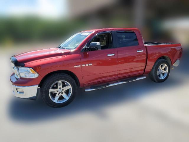 DODGE RAM 1500 2010 1d7rb1ct9as100316