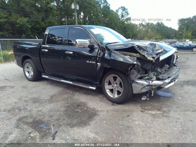 DODGE RAM 1500 2010 1d7rb1ct9as101871