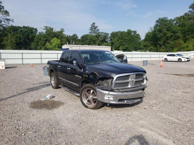 DODGE RAM 1500 2010 1d7rb1ct9as112191