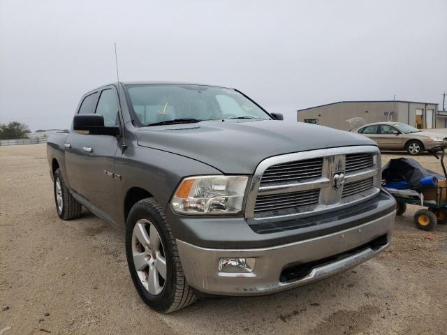 DODGE RAM 1500 2010 1d7rb1ct9as156367