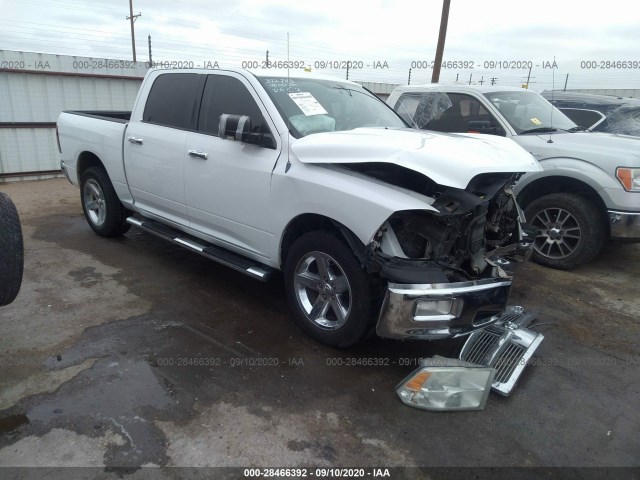 DODGE RAM 1500 2010 1d7rb1ct9as179826