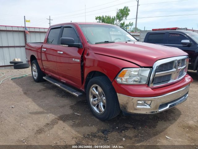 DODGE RAM 1500 2010 1d7rb1ct9as209326