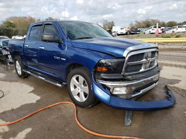 DODGE RAM 1500 2010 1d7rb1ctxas101717