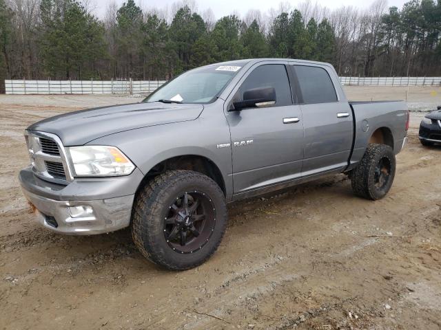 DODGE RAM 1500 2010 1d7rb1ctxas111809