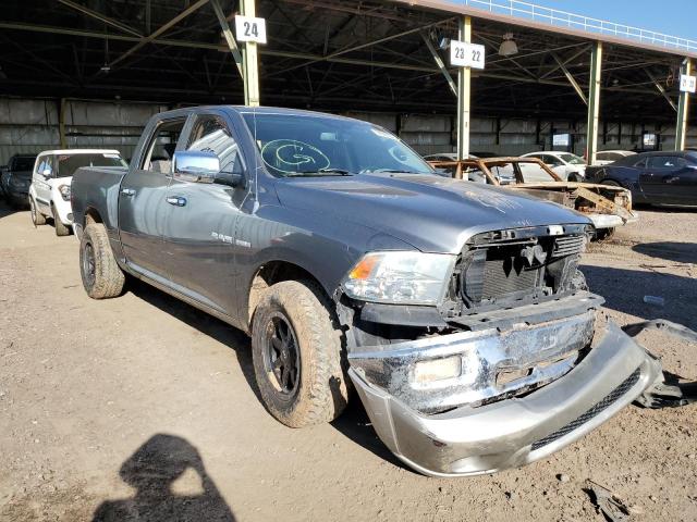 DODGE RAM 1500 2010 1d7rb1ctxas141652