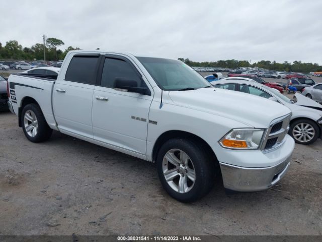 DODGE RAM 1500 2010 1d7rb1ctxas205933