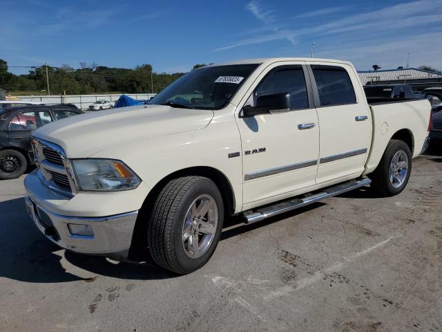 DODGE RAM 1500 2010 1d7rb1ctxas226474