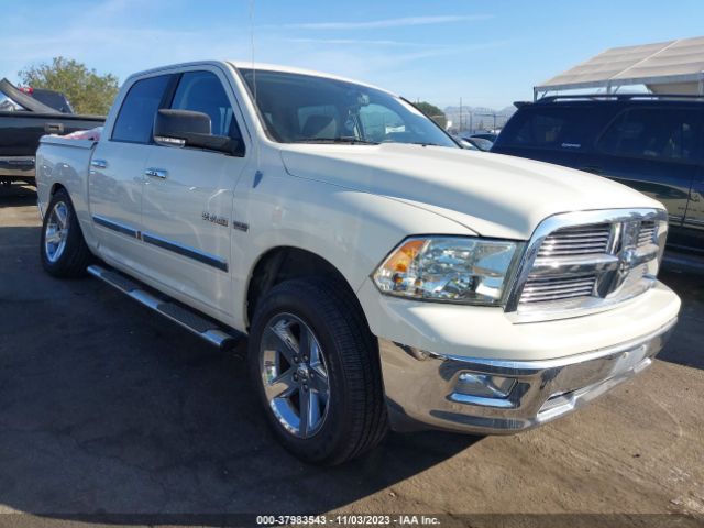 DODGE RAM 1500 2010 1d7rb1ctxas226538