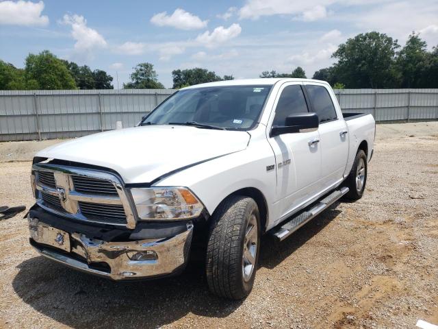 DODGE RAM 1500 2010 1d7rb1ctxas248247