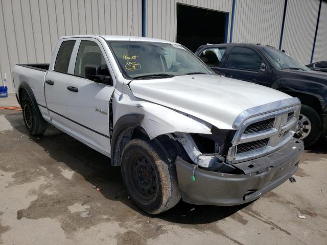 DODGE RAM 1500 2010 1d7rb1gk0as249764