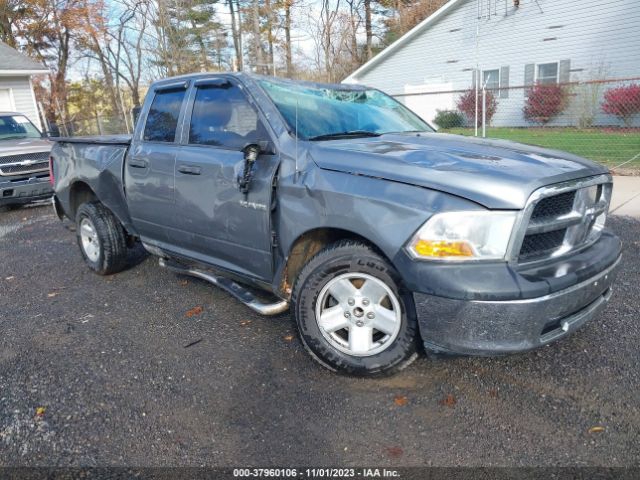 DODGE RAM 1500 2010 1d7rb1gk1as231161