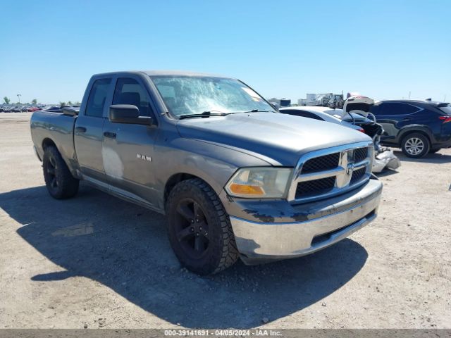 DODGE RAM 1500 2010 1d7rb1gk4as204164