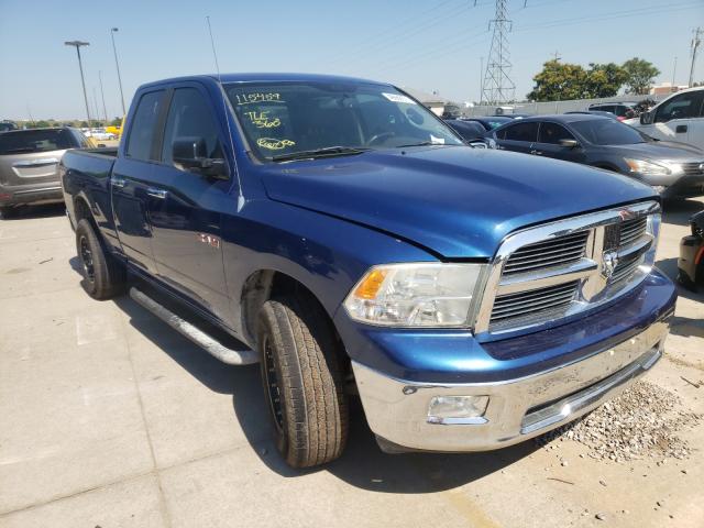 DODGE RAM 1500 2010 1d7rb1gp0as115459