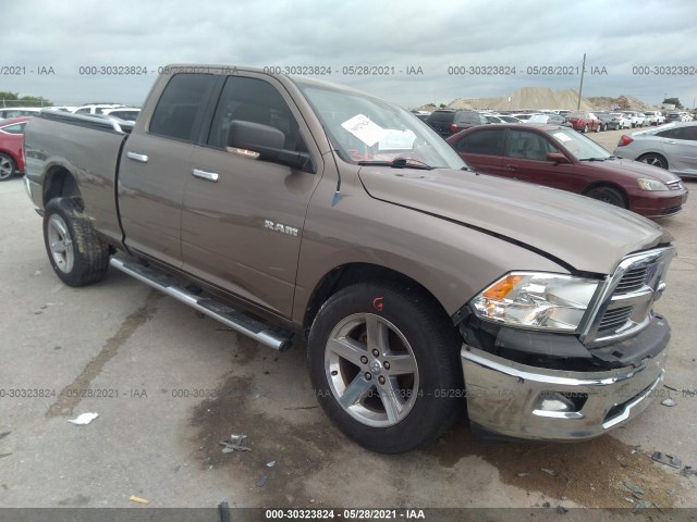 DODGE RAM 1500 2010 1d7rb1gp0as138935