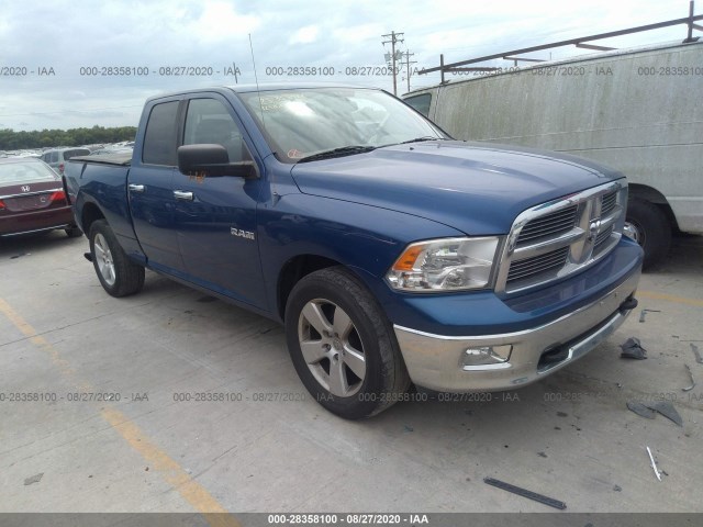 DODGE RAM 1500 2010 1d7rb1gp0as162443