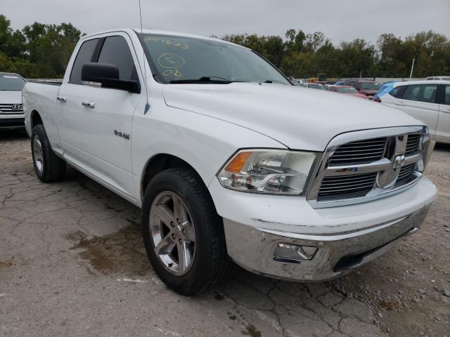 DODGE RAM 1500 2010 1d7rb1gp0as247623