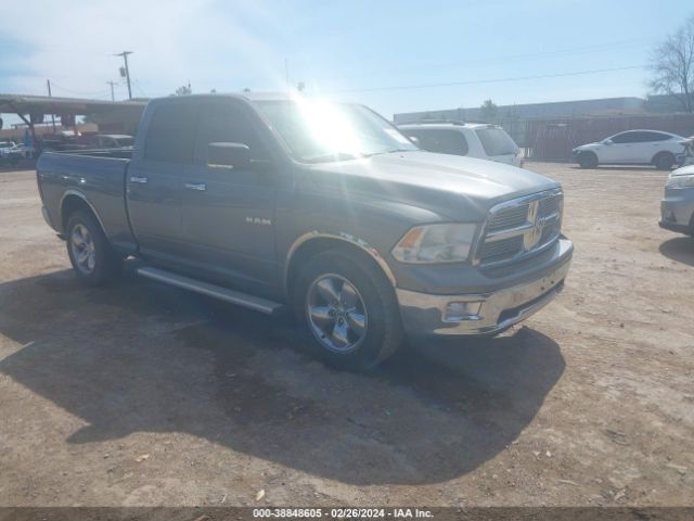 DODGE RAM 1500 2010 1d7rb1gp1as115454