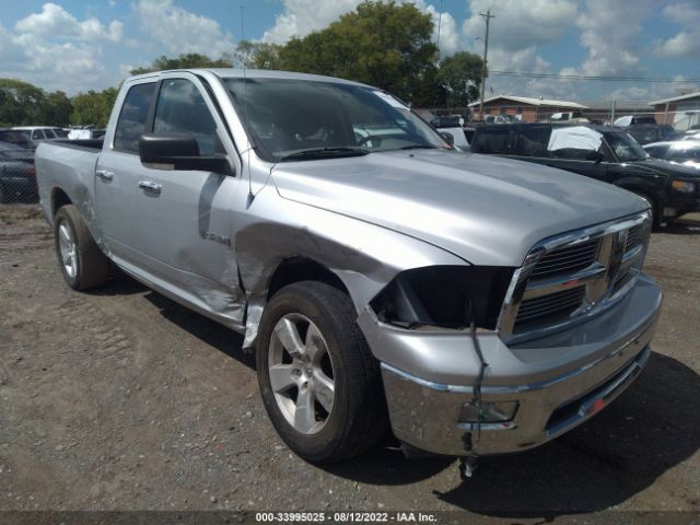 DODGE RAM 1500 2010 1d7rb1gp1as120038