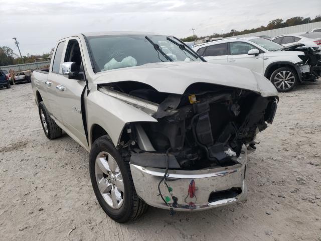 DODGE RAM 1500 2010 1d7rb1gp1as223735