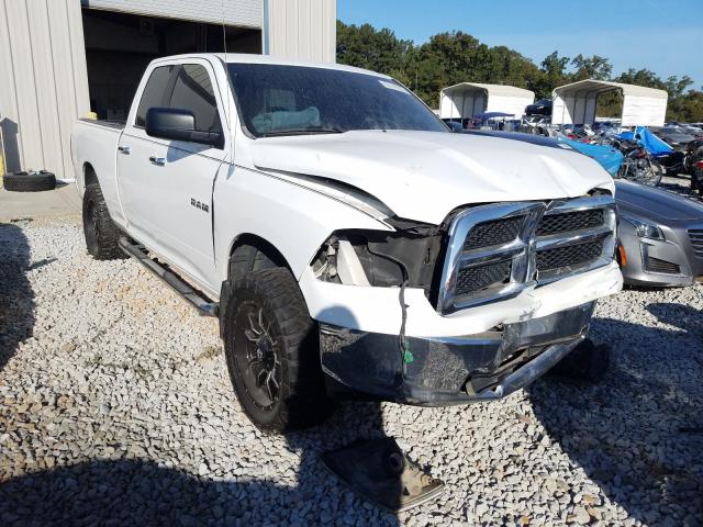 DODGE RAM 1500 2010 1d7rb1gp1as238395