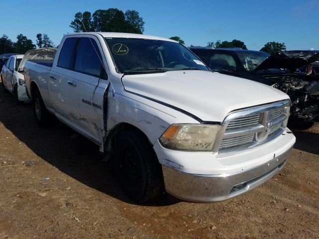 DODGE RAM 1500 2011 1d7rb1gp1bs555370