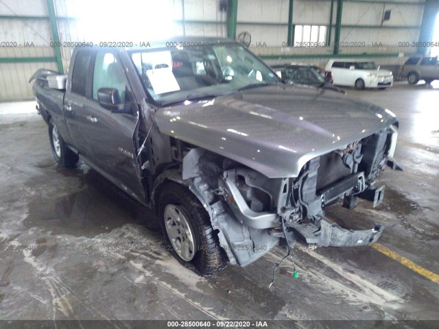 DODGE RAM 1500 2010 1d7rb1gp2as100106