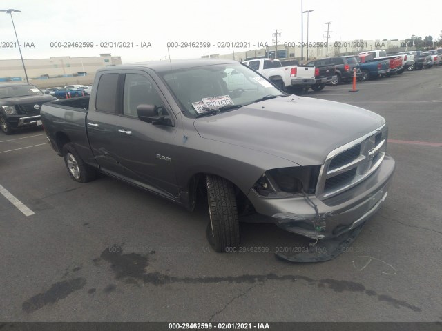 DODGE RAM 1500 2010 1d7rb1gp2as111526