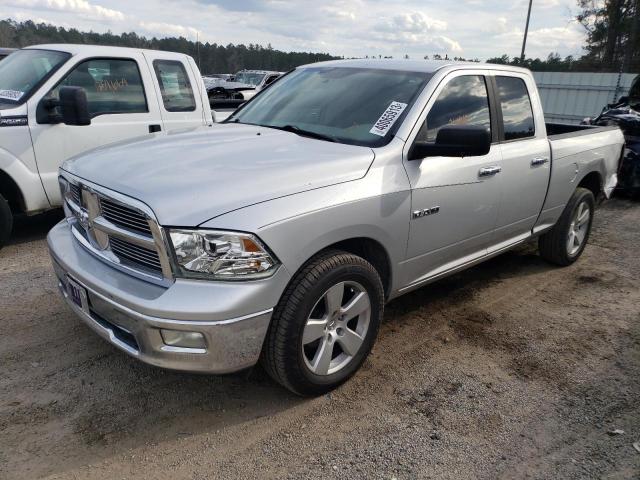 DODGE RAM 1500 2010 1d7rb1gp2as112031