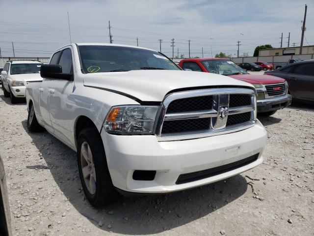 DODGE RAM 1500 2010 1d7rb1gp2as117164