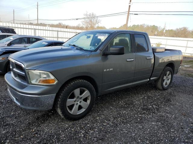 DODGE RAM 1500 2010 1d7rb1gp2as160046