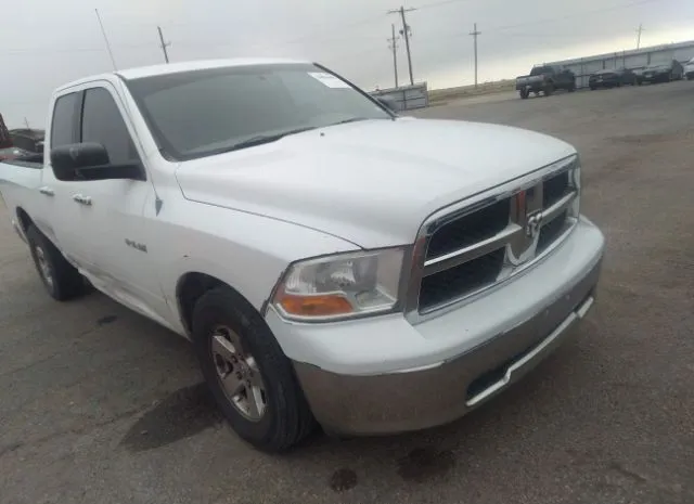 DODGE RAM 1500 2010 1d7rb1gp2as181155