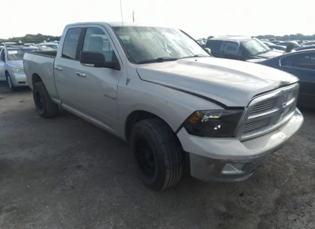 DODGE RAM 1500 2010 1d7rb1gp2as184864