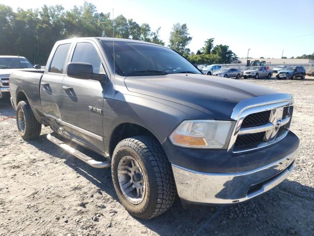 DODGE RAM 1500 2010 1d7rb1gp2as209052