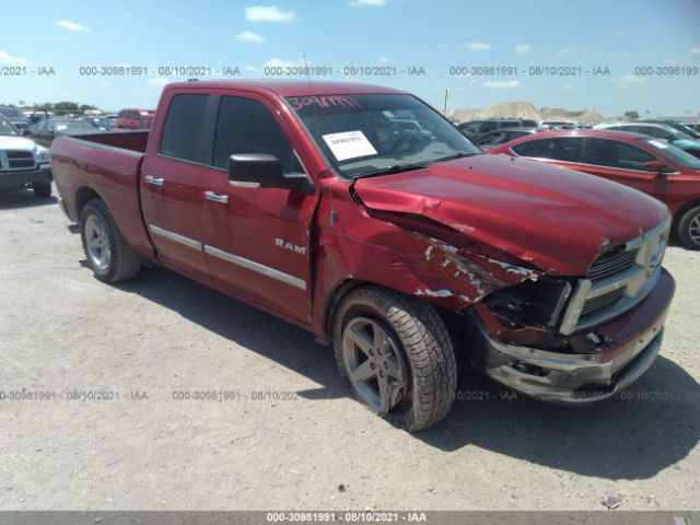 DODGE RAM 1500 2010 1d7rb1gp2as250409