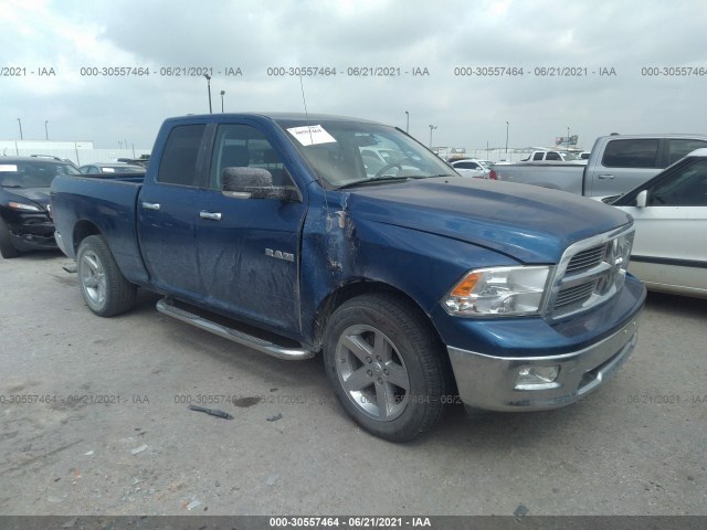 DODGE RAM 1500 2010 1d7rb1gp3as132627