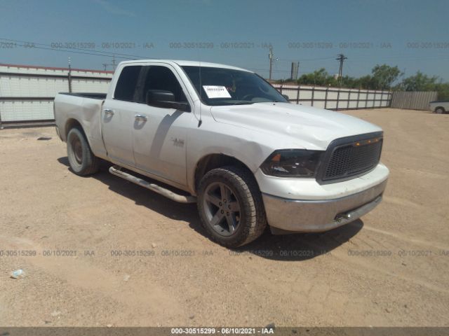 DODGE RAM 1500 2010 1d7rb1gp3as137987