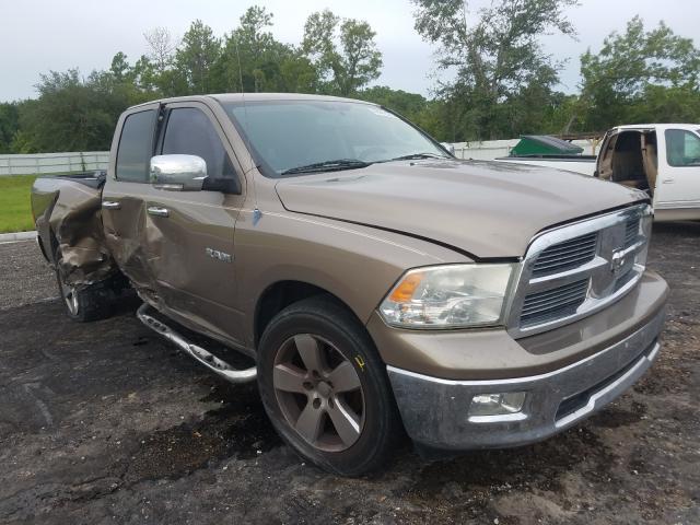 DODGE RAM 1500 2010 1d7rb1gp3as160282