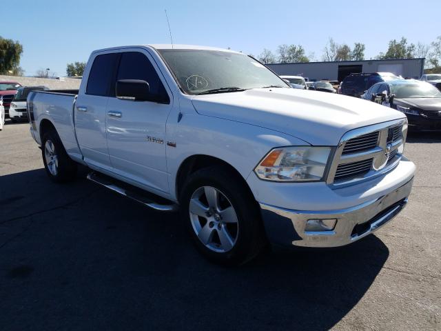 DODGE RAM 1500 2010 1d7rb1gp4as146178