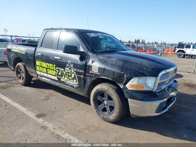 DODGE RAM 1500 2010 1d7rb1gp4as160131