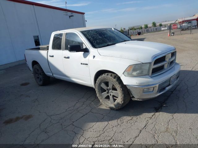 DODGE RAM 2010 1d7rb1gp4as162803