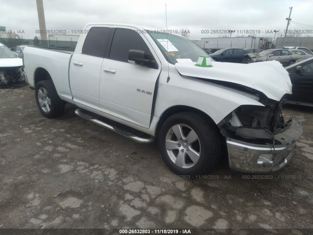 DODGE RAM 1500 2010 1d7rb1gp4as203530