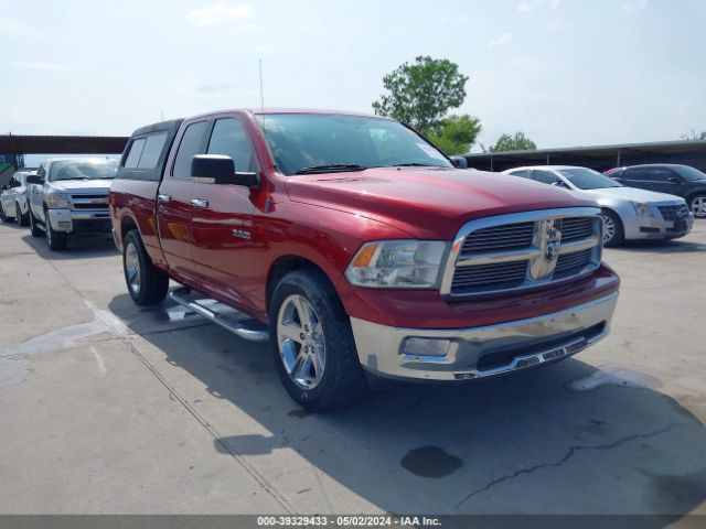 DODGE RAM 1500 2010 1d7rb1gp4as247186