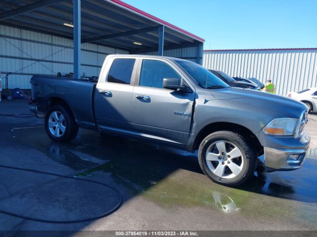 DODGE RAM 1500 2010 1d7rb1gp5as106238