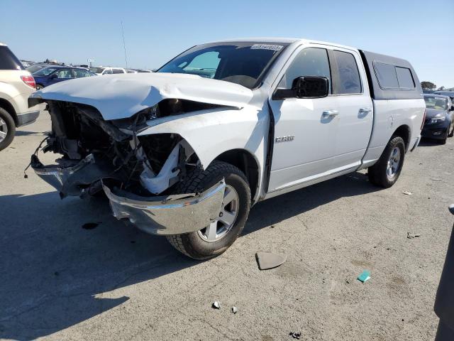 DODGE RAM 1500 2010 1d7rb1gp5as137960