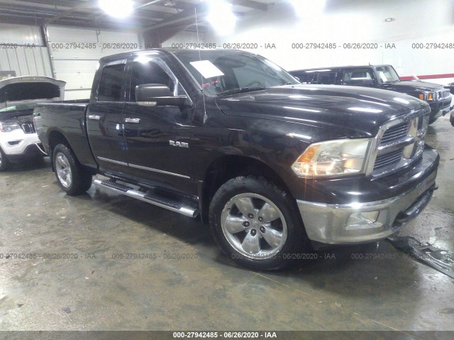 DODGE RAM 1500 2010 1d7rb1gp5as148151